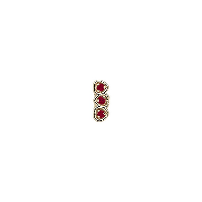 14 Karat Gold Ruby Slide