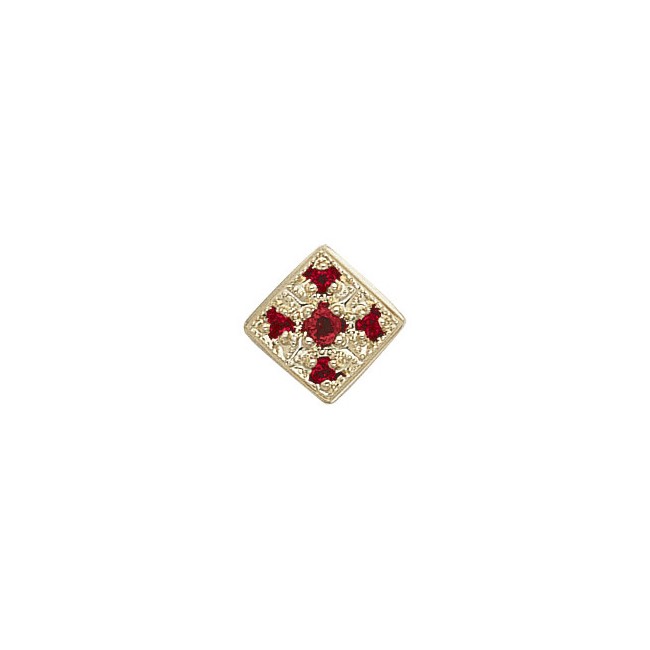 14 Karat Gold Ruby Slide