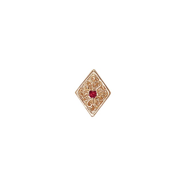 14 Karat Gold Ruby Slide