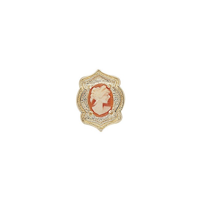 14 Karat Gold Cameo Slide