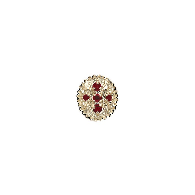 14 Karat Gold Garnet Slide