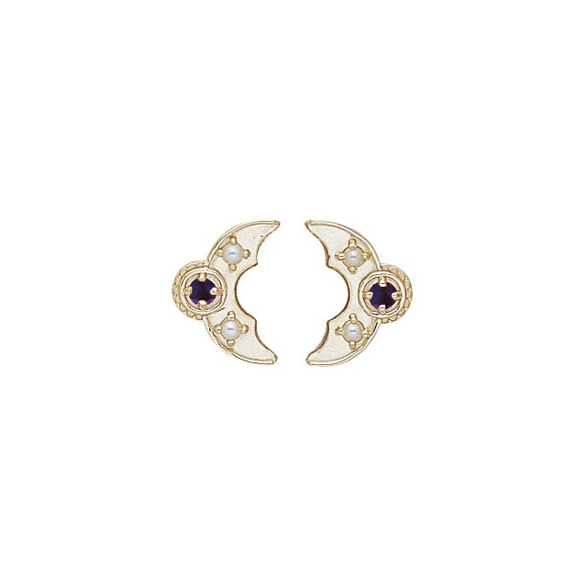 14 Karat Gold Slide with Amethyst center and Pearl accents
