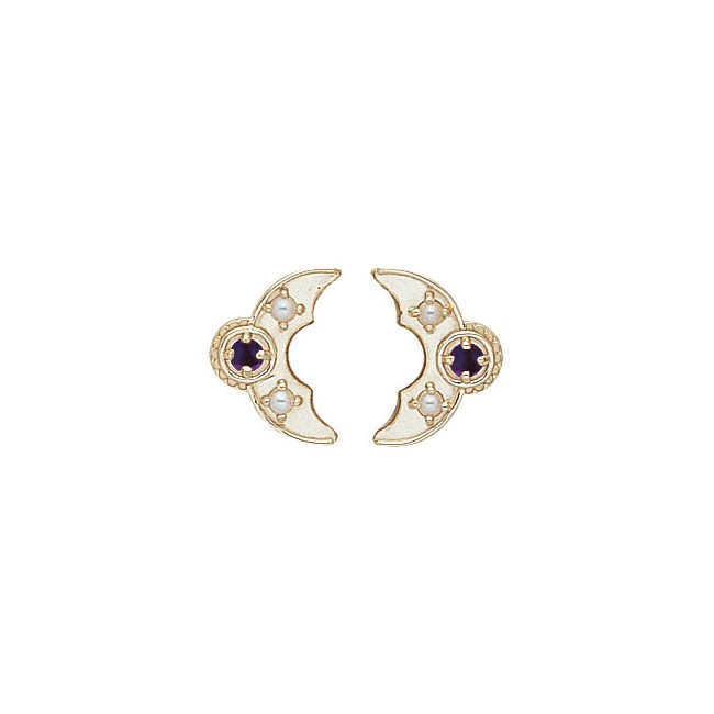 14 Karat Gold Slide with Amethyst center and Pearl accents