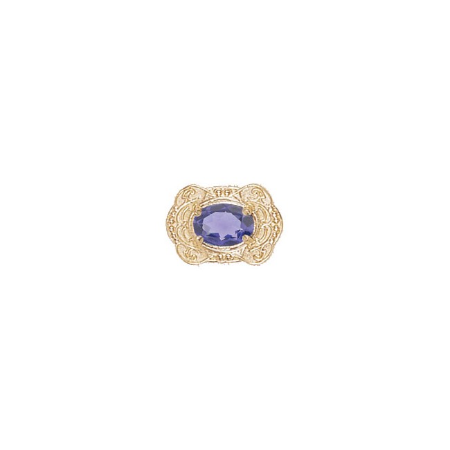 14 Karat Gold Iolite Slide