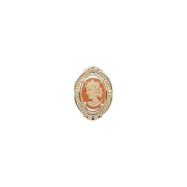 14 Karat Gold Cameo Slide