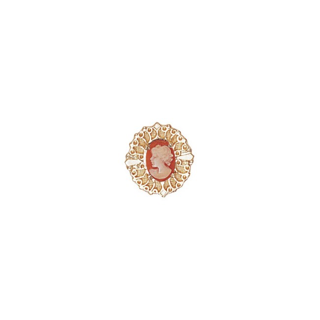 14 Karat Gold Cameo Slide