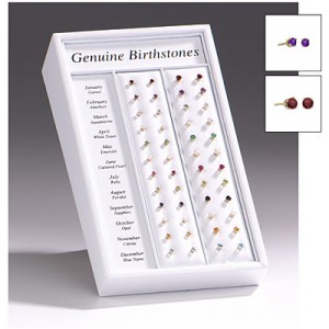 12 Month Double Stud Earring Display