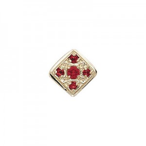 14 Karat Gold Ruby Slide