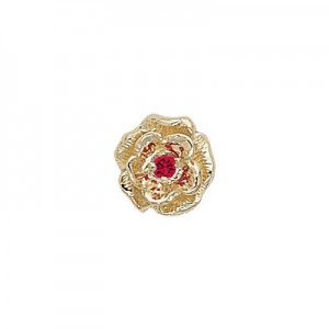 14 Karat Gold Ruby Slide