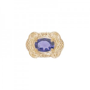 14 Karat Gold Iolite Slide