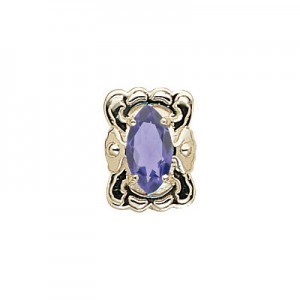 14 Karat Gold Iolite Slide