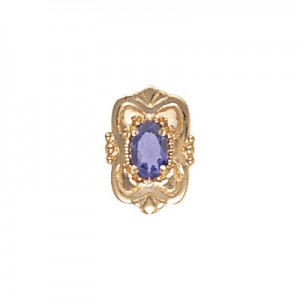 14 Karat Gold Iolite Slide