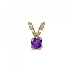 14k Yellow Gold Round Amethyst Pendant