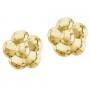 14K Yellow Gold Baby Flower Screwback Earrings