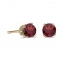 14k Yellow Gold Round Garnet Stud Earrings