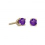 14k Yellow Gold Round Amethyst Screw-back Stud Earrings