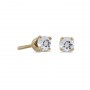 14k Yellow Gold Round White Topaz Screw-back Stud Earrings