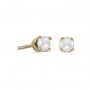 14k Yellow Gold Pearl Screw-back Stud Earrings