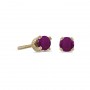 14k Yellow Gold Round Ruby Screw-back Stud Earrings