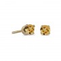 14k Yellow Gold Round Citrine Screw-back Stud Earrings