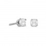 14k White Gold Pearl Screw-back Stud Earrings