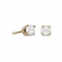 14k Yellow Gold Pearl Stud Earrings