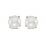 14k Yellow Gold Pearl Stud Earrings