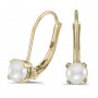 14k Yellow Gold Pearl Lever-back Earrings