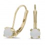 14k Yellow Gold Round Opal Lever-back Earrings