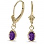 14k Yellow Gold Oval Amethyst Bezel Lever-back Earrings