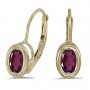 14K Yellow Gold Oval Rhodolite Garnet Bezel Lever-back Earrings