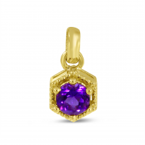 14K Yellow Gold Amethyst Birthstone Hexagon Pendant